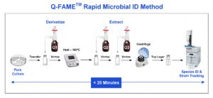MIDI fame_procedure